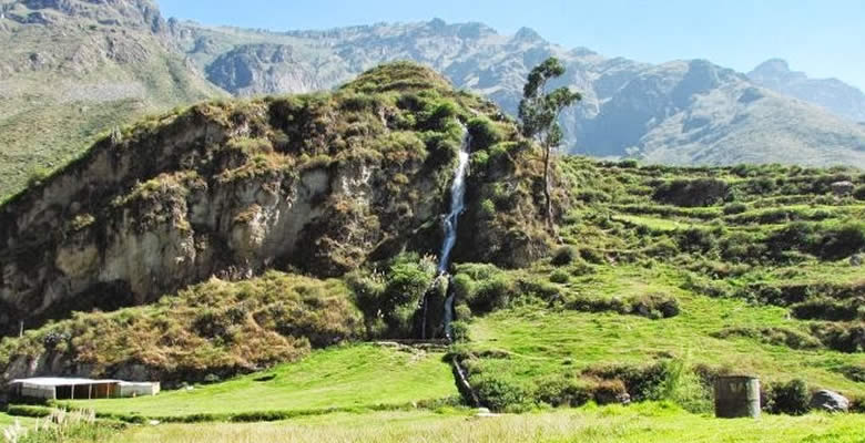 La Canta que encanta