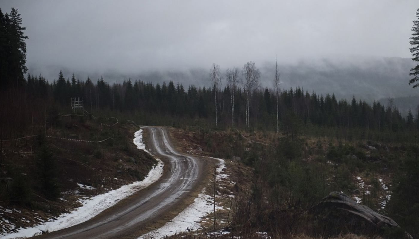 Ogier pide que el Rally de Suecia se suspenda