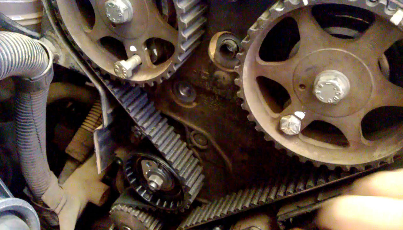 correa de distribución